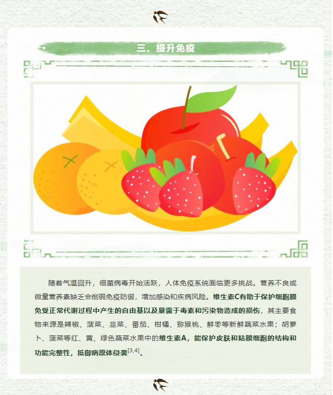 image.png?v=1770172284572