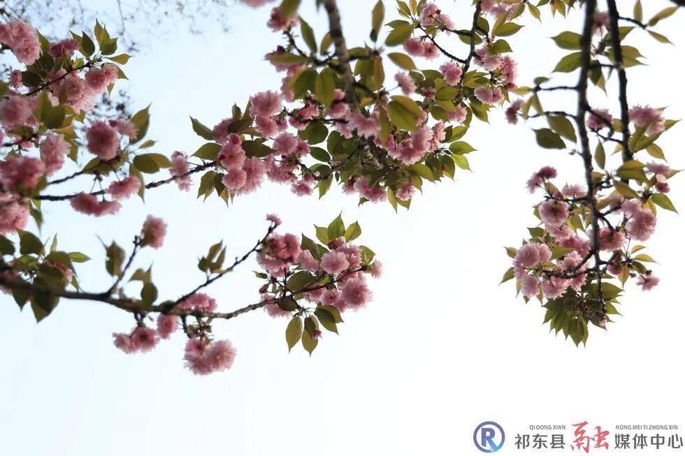 w_IU7A0899.JPG