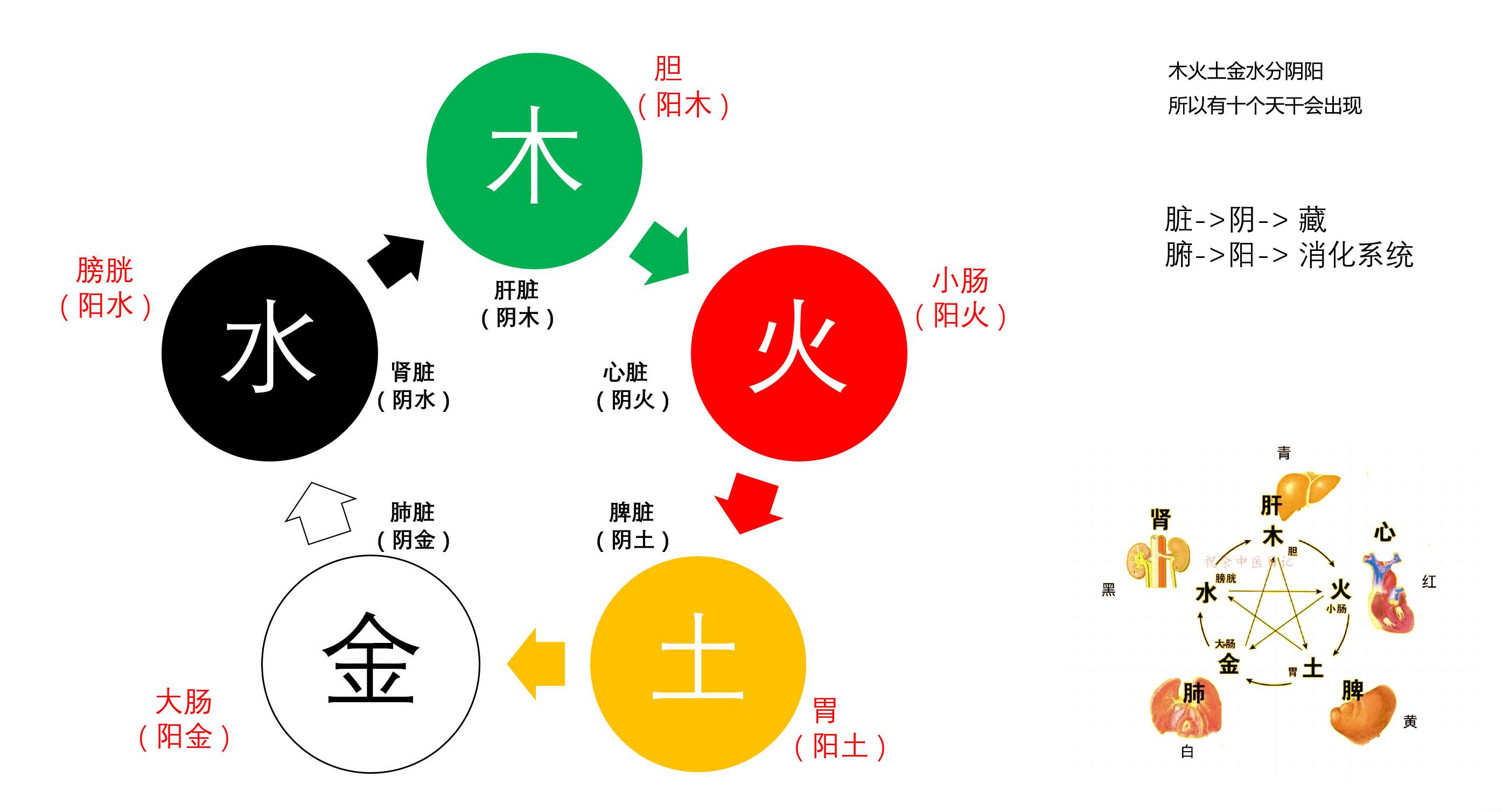 根据课程画出的五行图