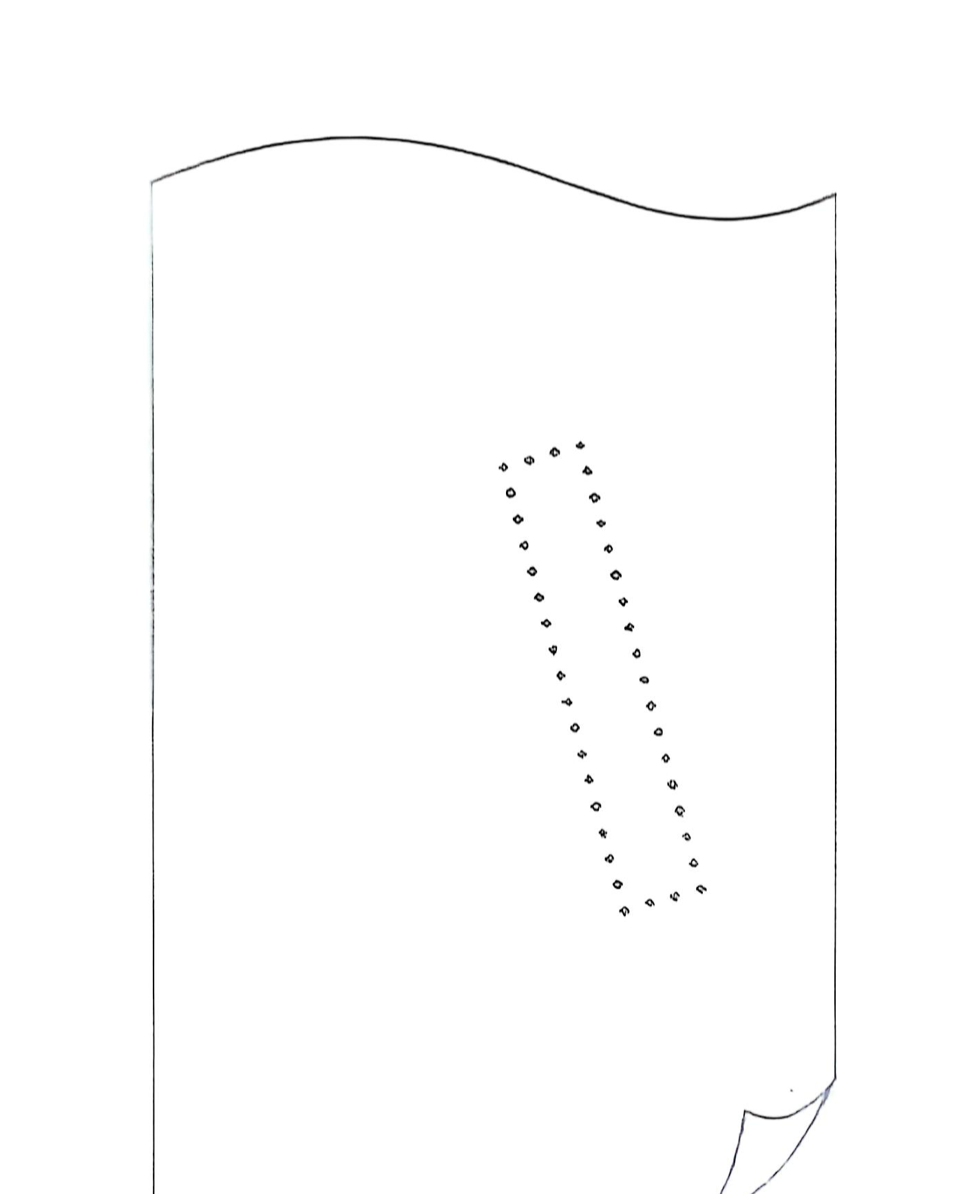 扫描全能王 2025-02-28 10.12 (1).jpg